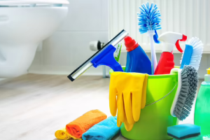 Messie Reinigung Gera